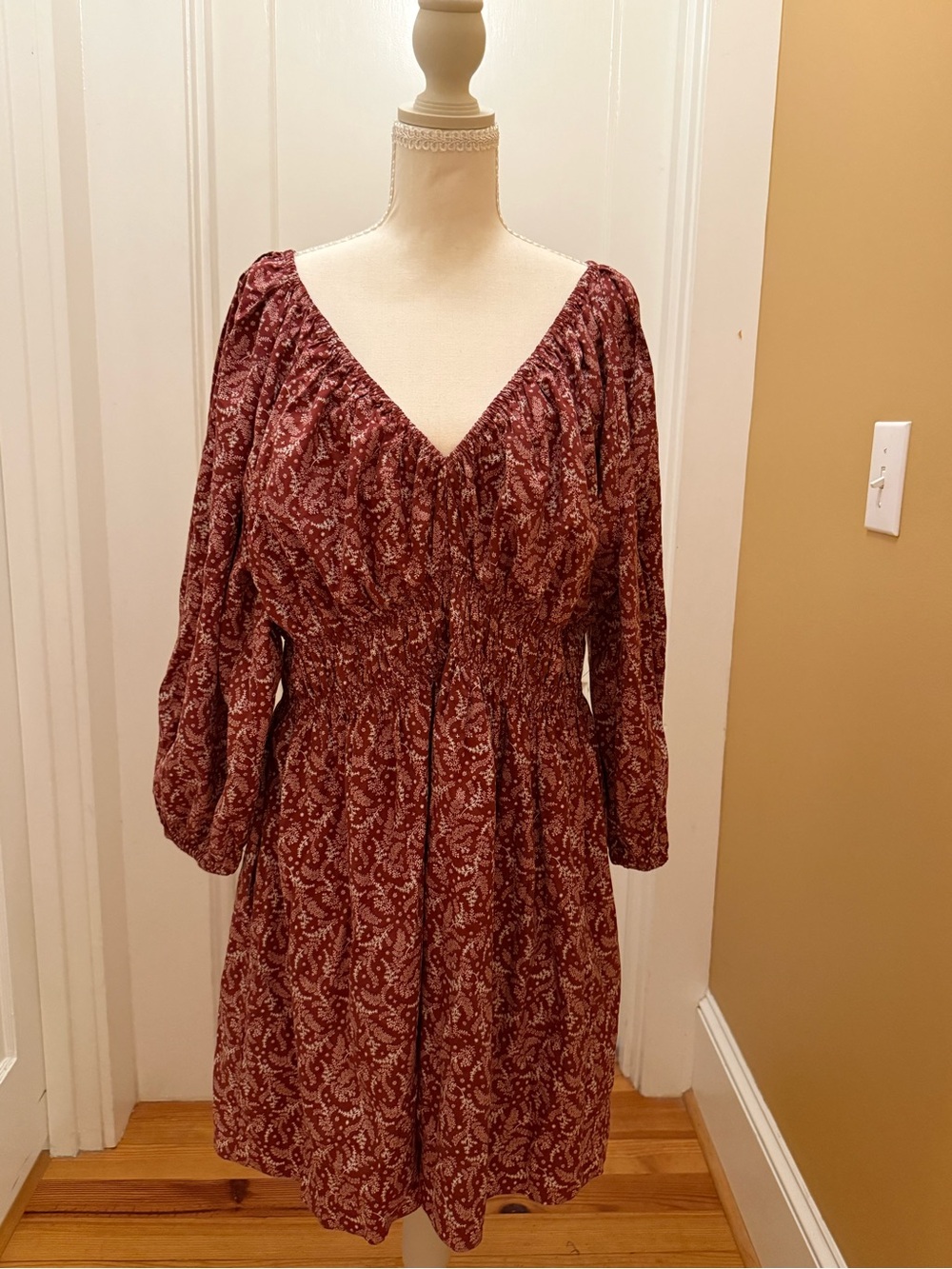 Madewell V Neck Puff Sleeve Mini Dress in Paisley Floral Amira Rusted Red